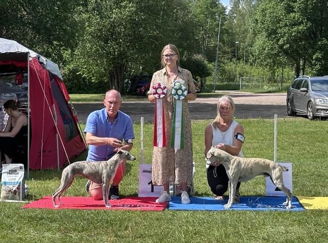 show smål